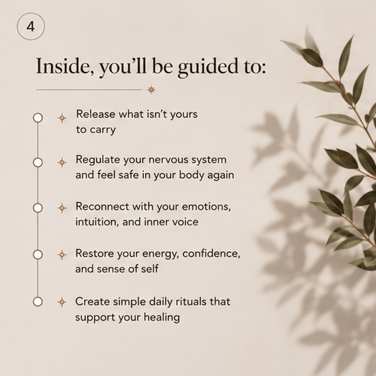 Text list on a beige background with leafy branch shadows