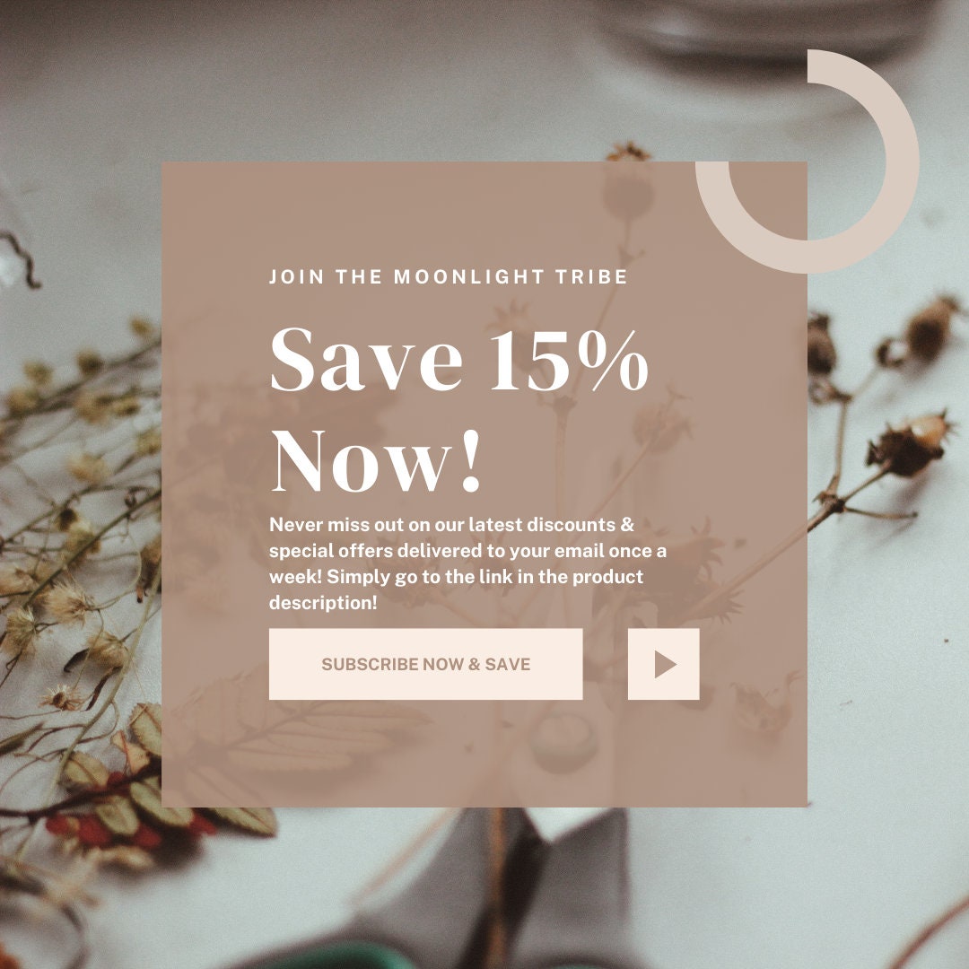 WISDOM | Obsidian &amp; Indian Agate Bracelet for Strength, Courage, and Protection | Delicate Elephant Jewelry Gifts | Animal Totem Bracelets