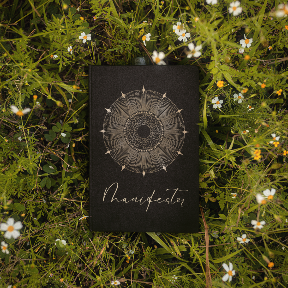 Manifestor Human Design Journal