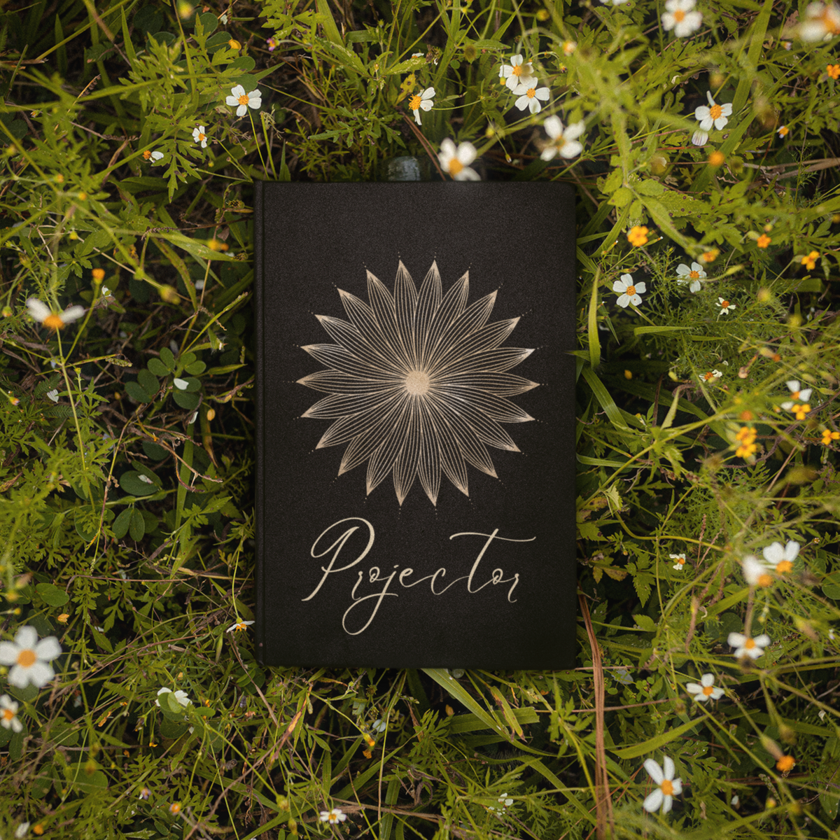 Projector Human Design Journal