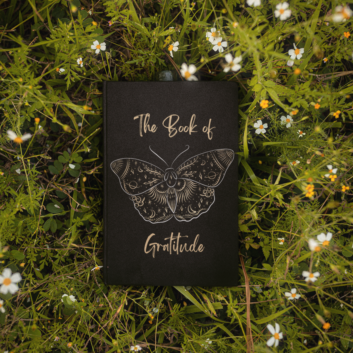 The Book of Gratitude | Gratitude Journal